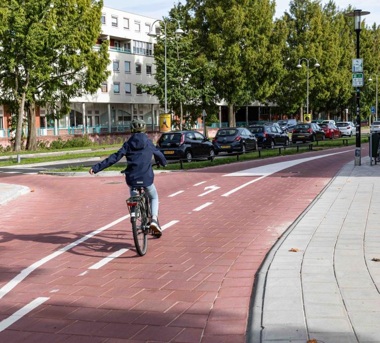 Fietser op het fietspad 